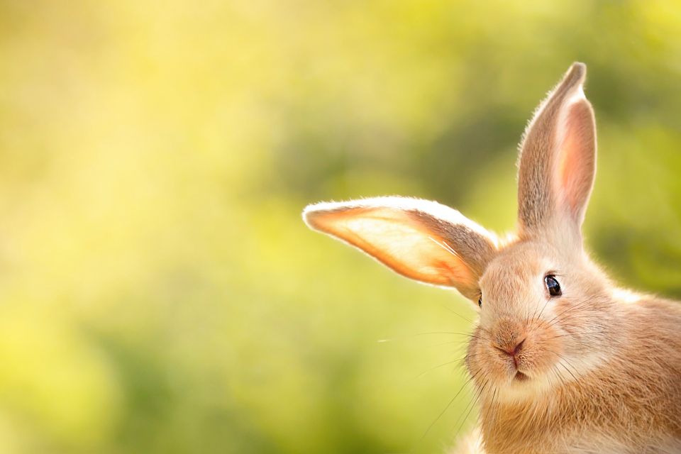Nur wer versteht, was Menschen bewegt, kann sie auch bewegen.